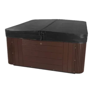 Narada Harmony LS 6-Person 38-Jet, 90-Port, 240V Lounger Hot Tub w/ Bluetooth Stereo, Ozone and Stainless Jets, Heater